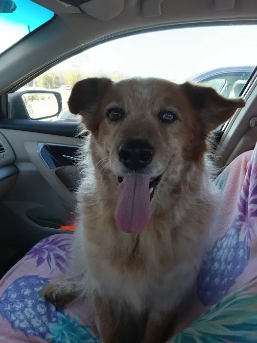 Stroud Veterinary Hospital Picture 1