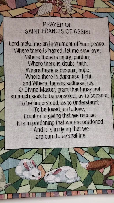 Veterinary Medical Associates Picture 9