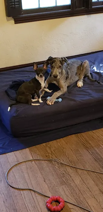 Veterinary Medical Associates Picture 6