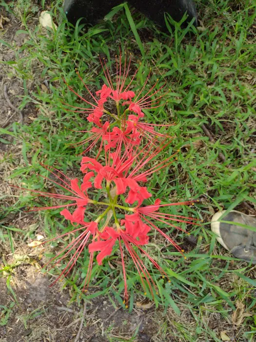 Rankin Veterinary Hospital PC Picture 4