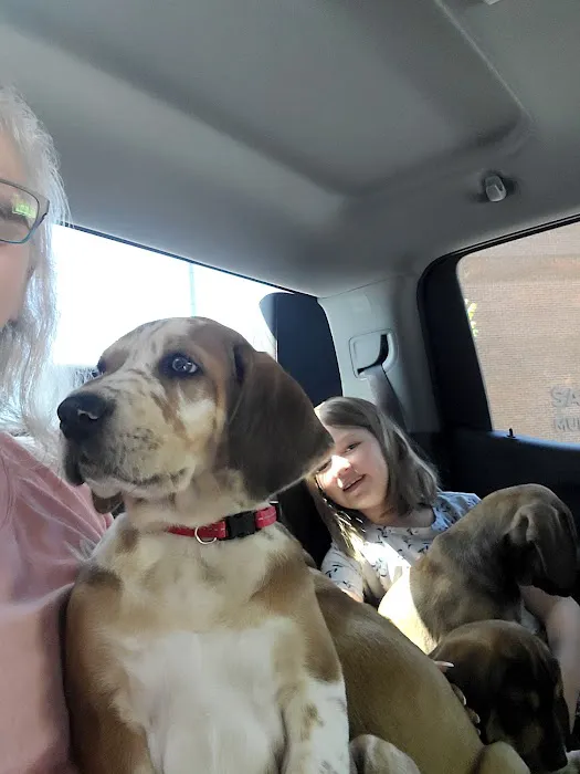 Rankin Veterinary Hospital PC Picture 2