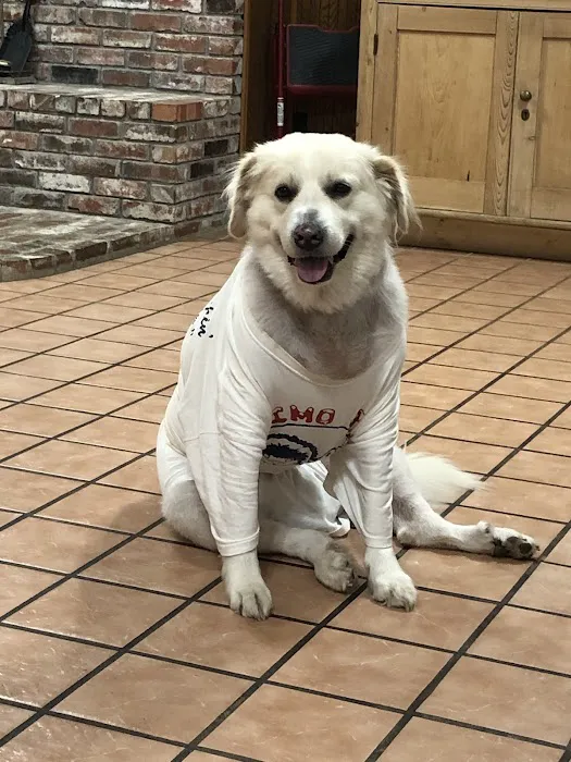 Rankin Veterinary Hospital PC Picture 8