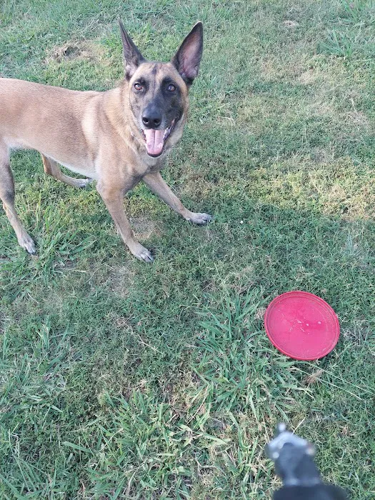 Rankin Veterinary Hospital PC Picture 7