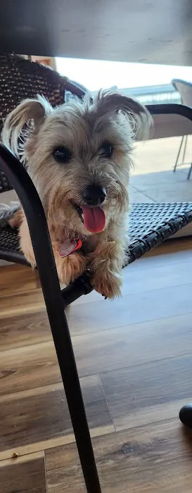 Mannford Veterinary Services Picture 4