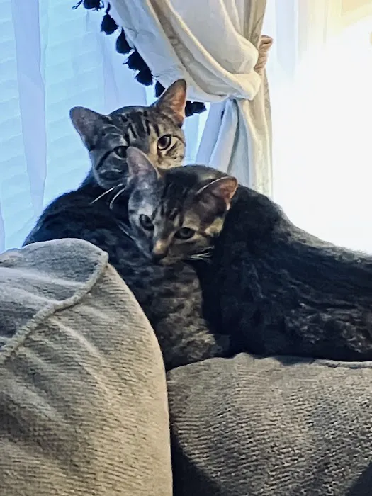 Mannford Veterinary Services Picture 2