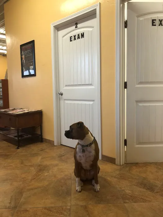 Mannford Veterinary Services Picture 5