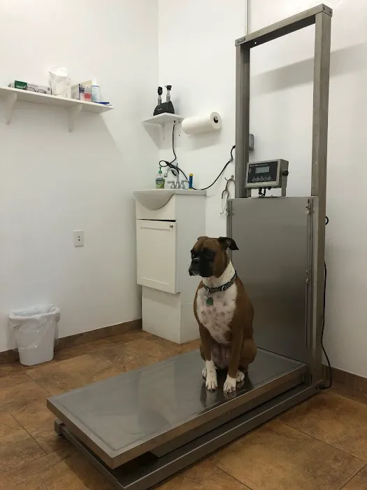 Mannford Veterinary Services Picture 10