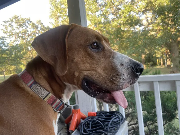 Harvey Jory DVM Picture 2