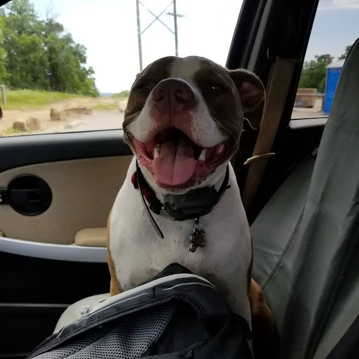 Harvey Jory DVM Picture 3