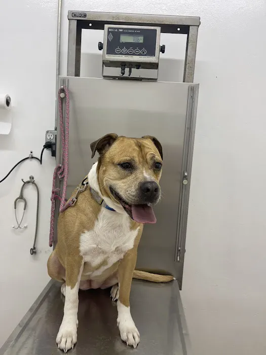 Harvey Jory DVM Picture 1