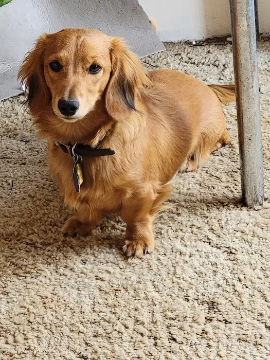 Mannford Animal Clinic Picture 1