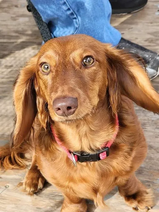 Mannford Animal Clinic Picture 4