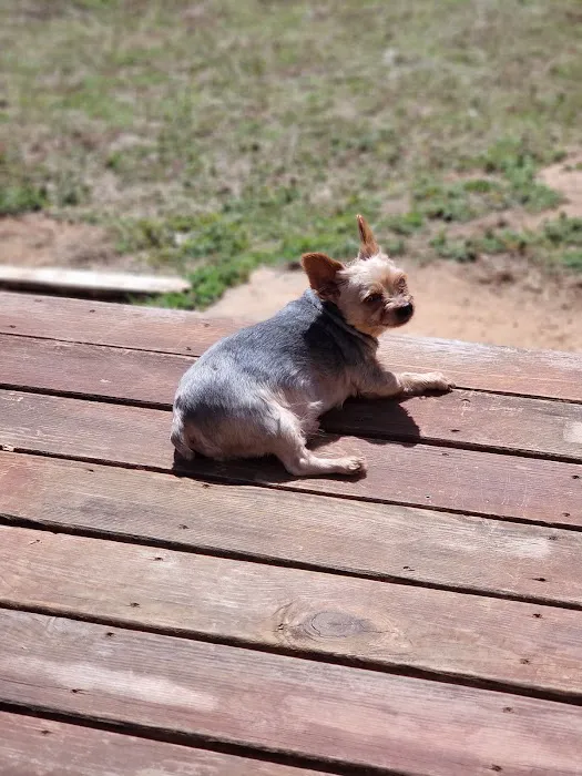 Mannford Animal Clinic Picture 3