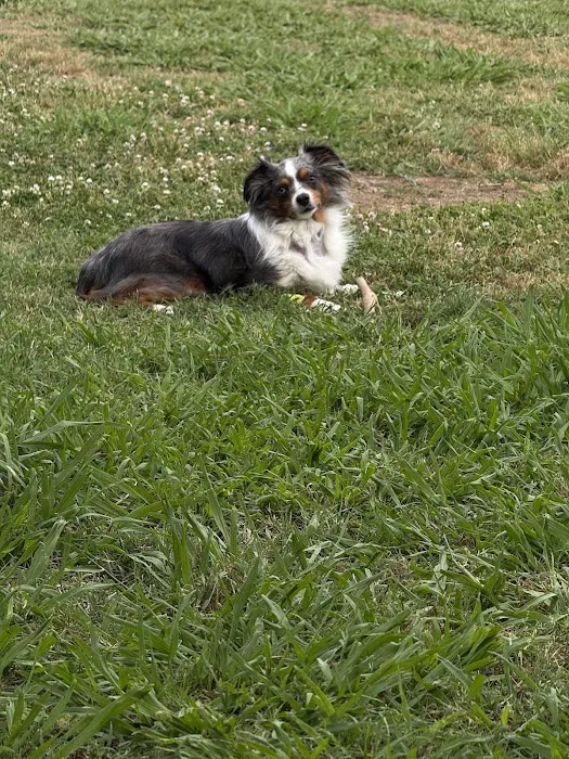Mannford Animal Clinic Picture 2
