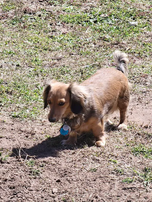 Mannford Animal Clinic Picture 7
