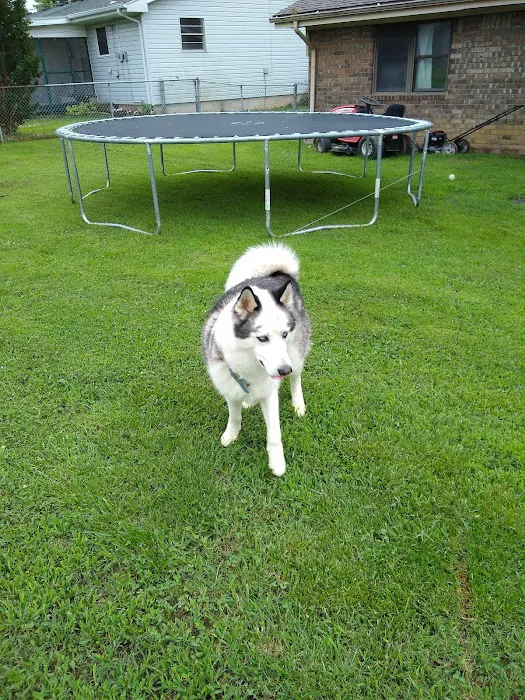 Mannford Animal Clinic Picture 9