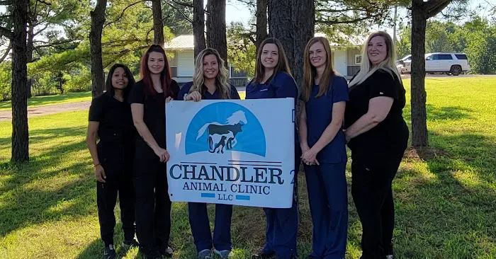 CHANDLER ANIMAL CLINIC LLC Picture 1