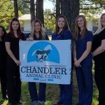 CHANDLER ANIMAL CLINIC LLC