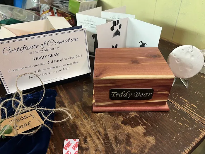 CHANDLER ANIMAL CLINIC LLC Picture 6