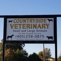Countryside Veterinary Services: Lisa Mauzerall DVM ico