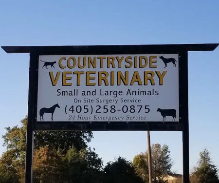 Countryside Veterinary Services: Lisa Mauzerall DVM