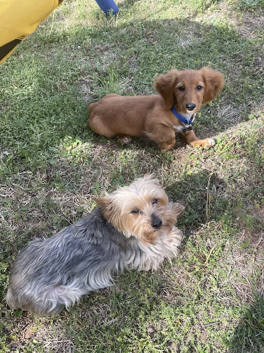 Countryside Veterinary Services Picture 1