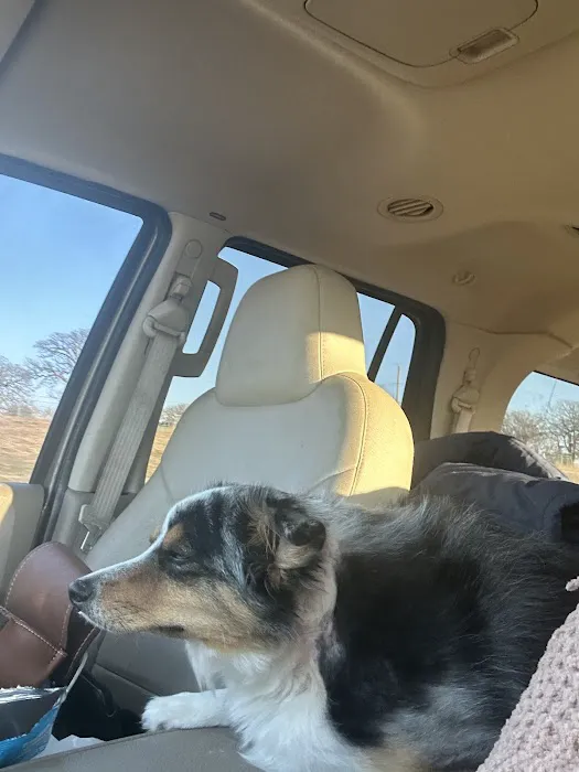 Lincoln County Animal Hospital Picture 1