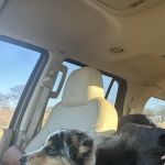 Lincoln County Animal Hospital