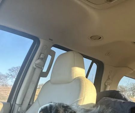 Lincoln County Animal Hospital