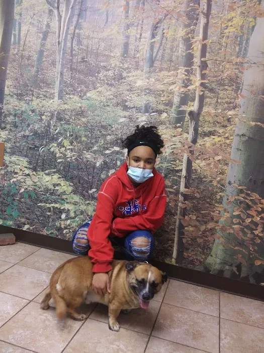 Lincoln County Animal Hospital Picture 4