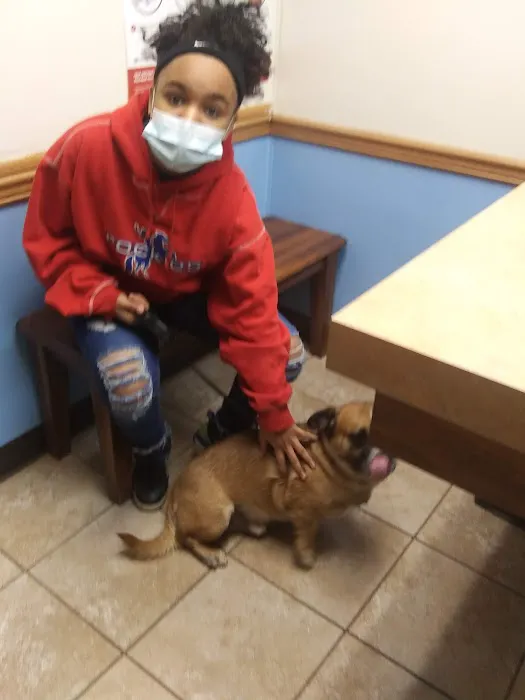 Lincoln County Animal Hospital Picture 5