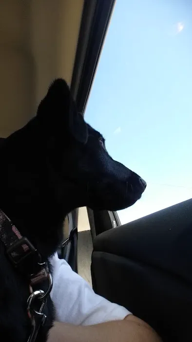 Lincoln County Animal Hospital Picture 10