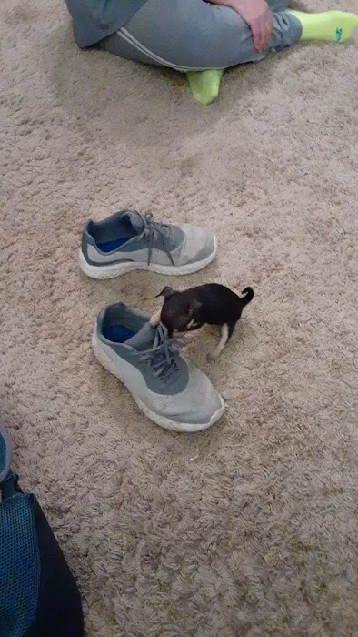 Lincoln County Animal Hospital Picture 9