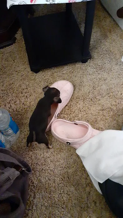 Lincoln County Animal Hospital Picture 8