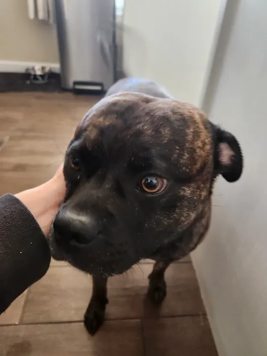 Lincoln County Animal Hospital Picture 7