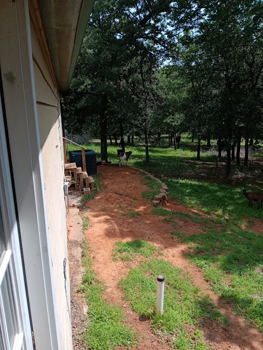 White Veterinary Services Pllc Picture 5