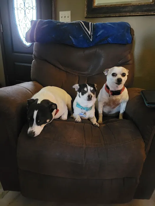 White Veterinary Services Pllc Picture 2