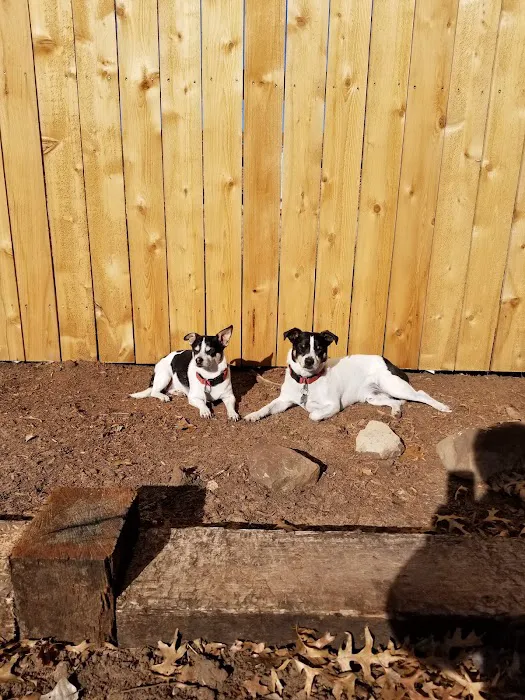 White Veterinary Services Pllc Picture 9