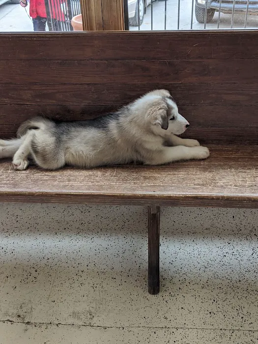 Cushing Veterinary Clinic Picture 4