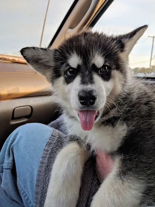 Cushing Veterinary Clinic Picture 2