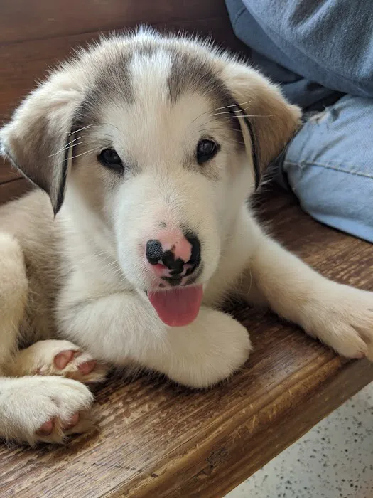 Cushing Veterinary Clinic Picture 1