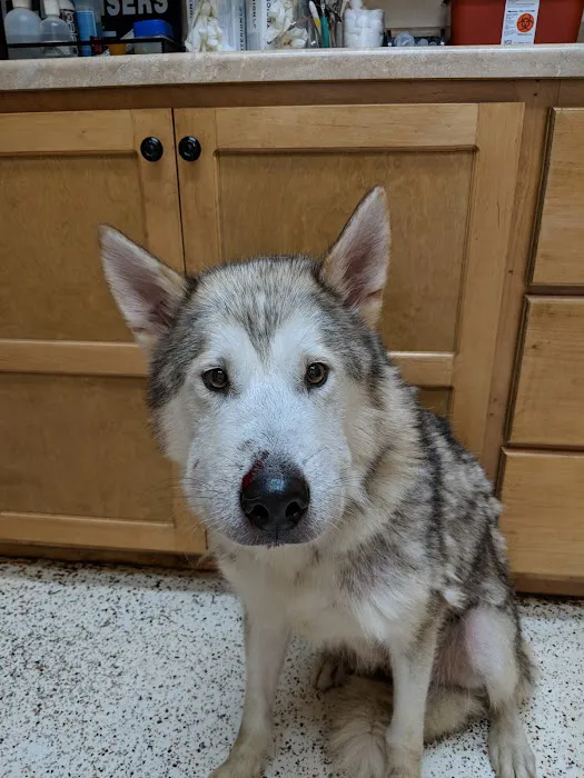 Cushing Veterinary Clinic Picture 3