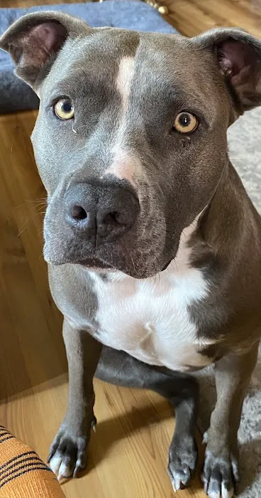 Cushing Veterinary Clinic Picture 6