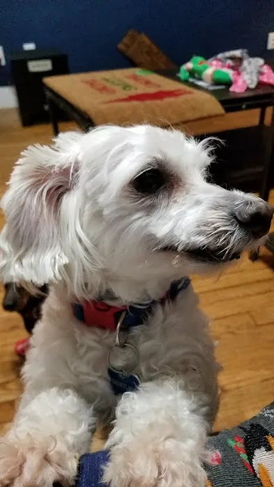 Cushing Veterinary Clinic Picture 9