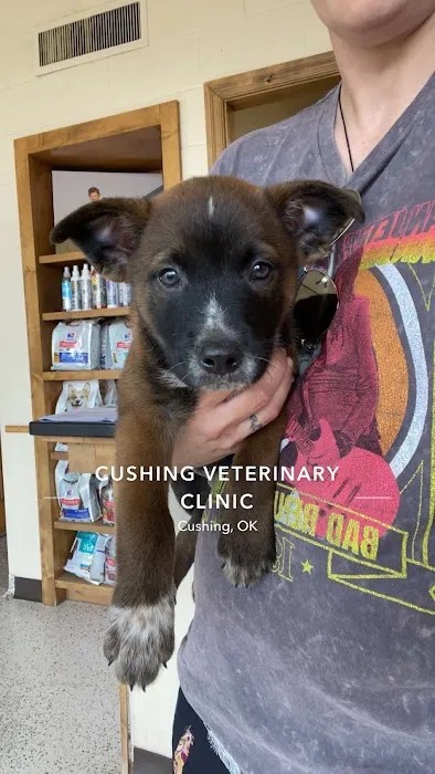 Cushing Veterinary Clinic Picture 7