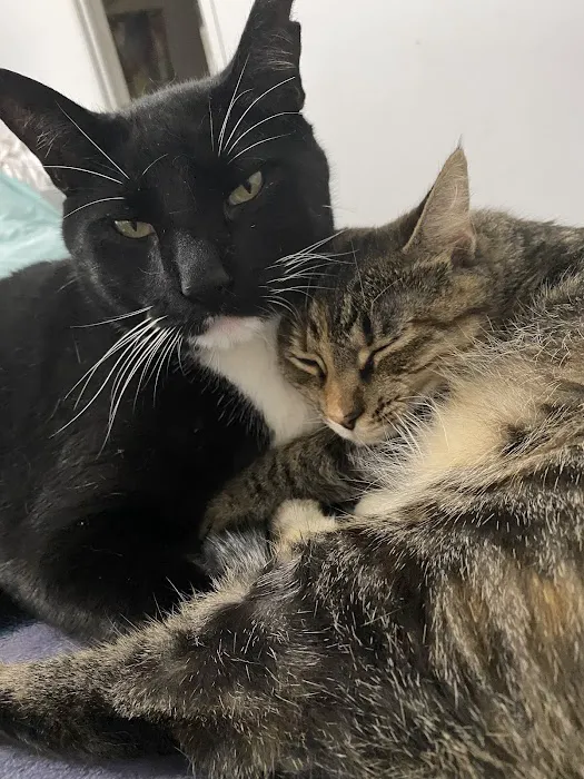 Cushing Veterinary Clinic Picture 8