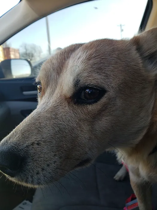 Prague Veterinary Clinic Picture 1