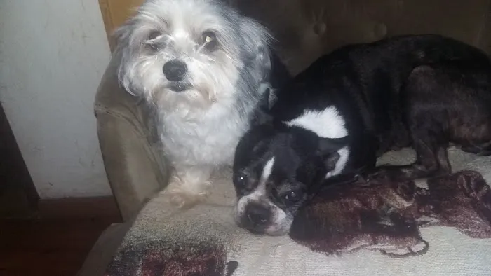 Prague Veterinary Clinic Picture 2