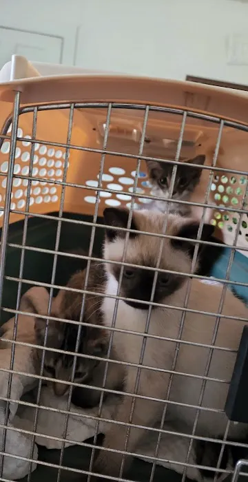 Prague Veterinary Clinic Picture 5