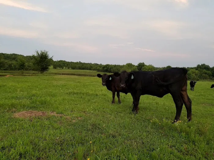 Prague Veterinary Clinic Picture 6